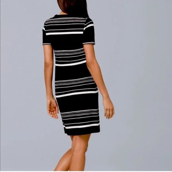 White House Black Market Short-Sleeve Stripe Lace-Up Knit Shift Mini Dress Small - Picture 2 of 13